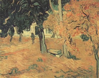 Vincent Van Gogh The Garden of Saint-Paul Hospital (nn04)